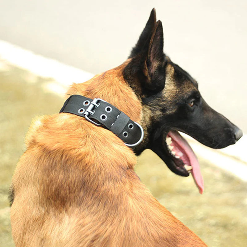 2-Inch Wide Heavy-Duty Nylon Tactical Dog Collar for Large Breeds with Metal Buckle