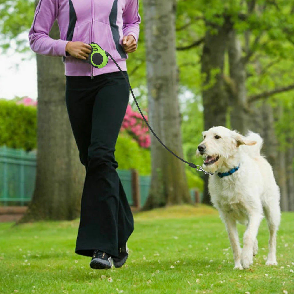 16.5FT Automatic Retractable Dog Leash with Pet Collar - Hands-Free Walking Lead, Free Shipping in the US